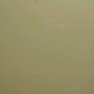 Meet your Posher, Yasmin